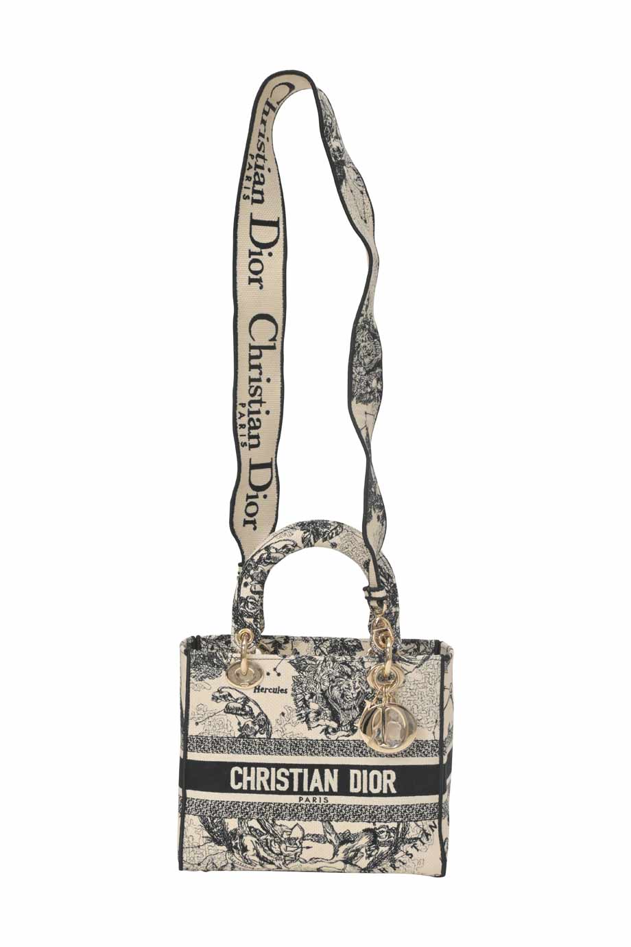 Christian dior shoulder bag hotsell