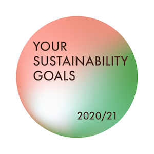 Review Your 2020 Sustainability Goals For 2021