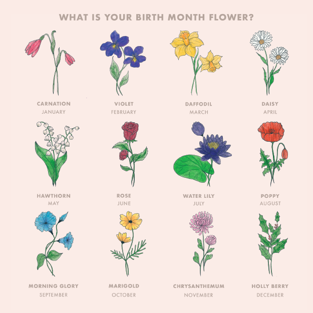 What Is Your Birth Flower?