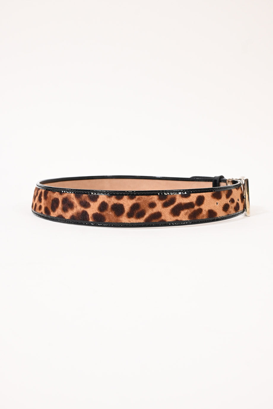 WA5138] Dolce & Gabbana | Belt