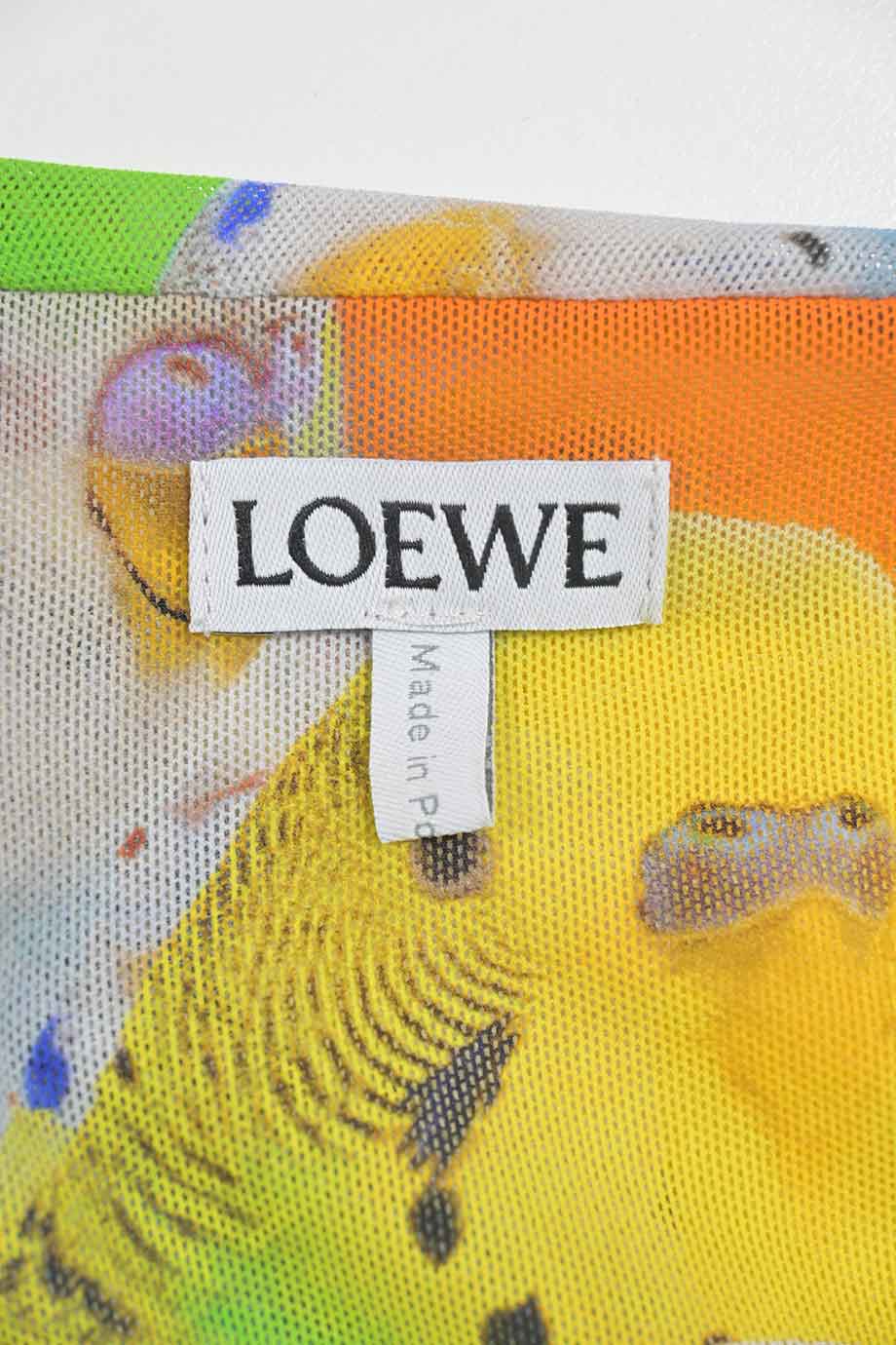 WW44074] Loewe | Midi Skirt