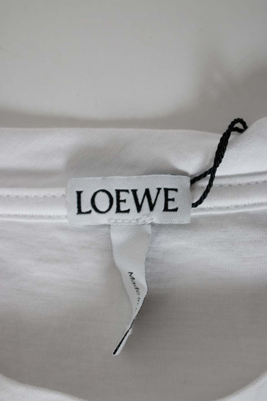 u1719_ww15513_loewe_5.jpg