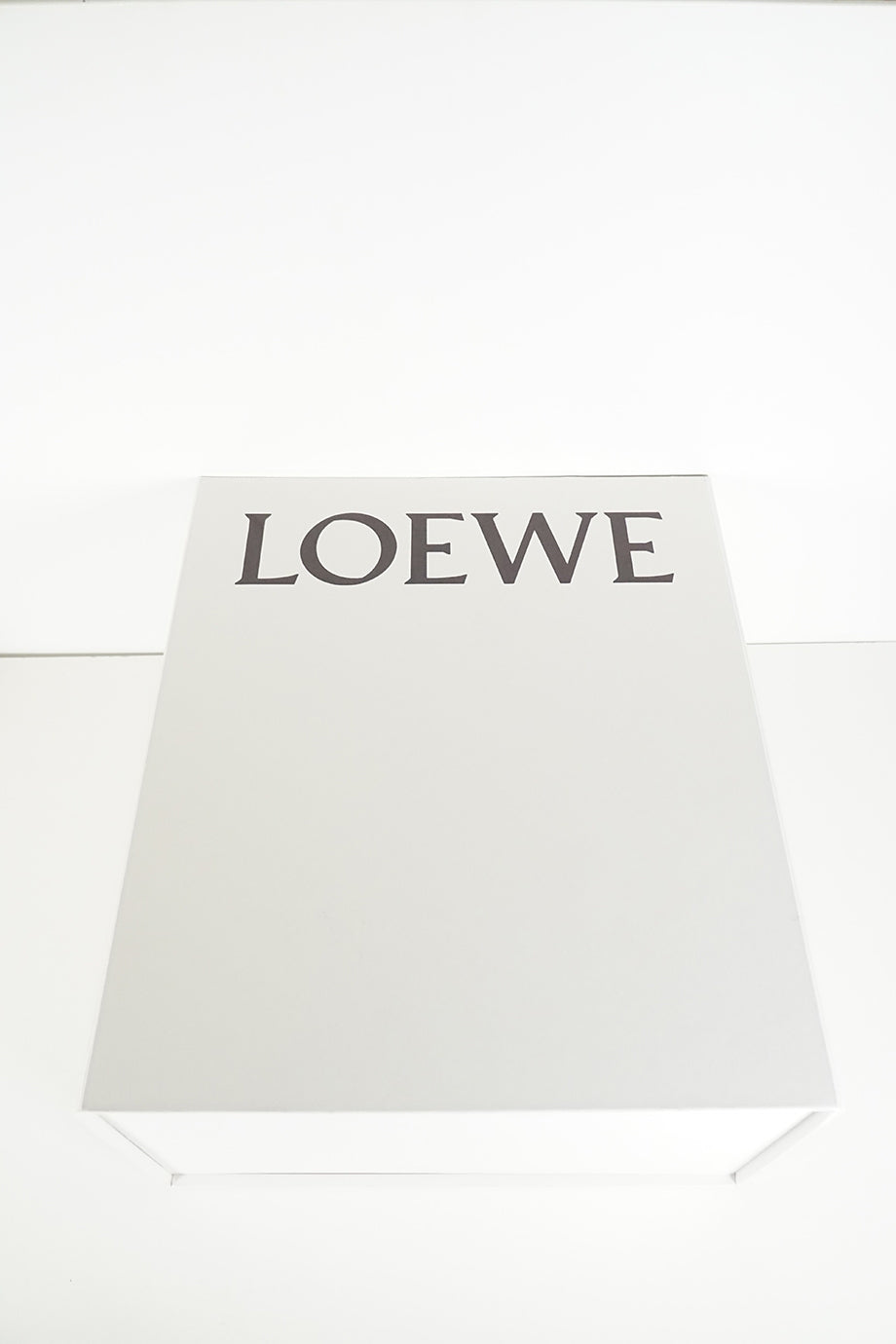 u2973_wb4036_loewe_7.jpg