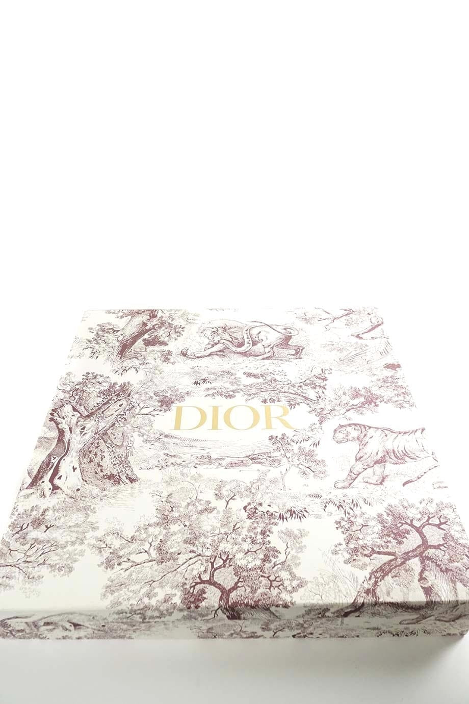 u3059_wb4155_dior_6.jpg