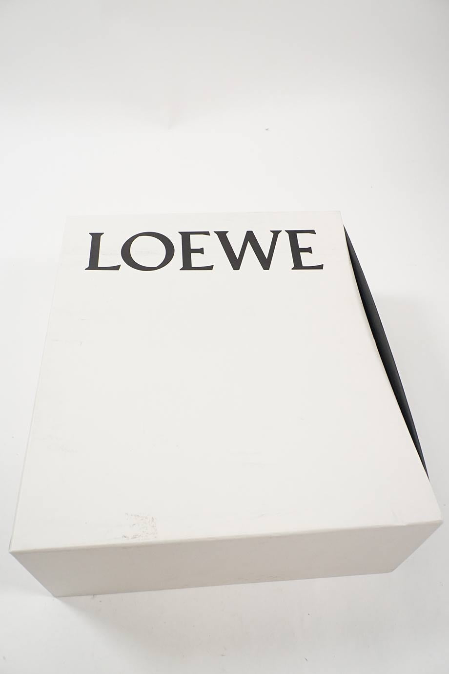 u3783_ws6414_loewe_10.jpg