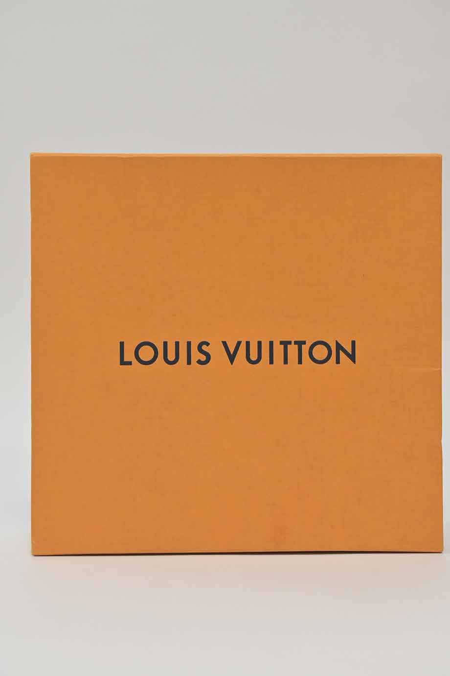 u4229_wa3336_louis_vuitton_8.jpg