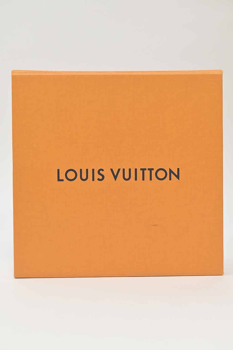 u4229_wa3337_louis_vuitton_9.jpg