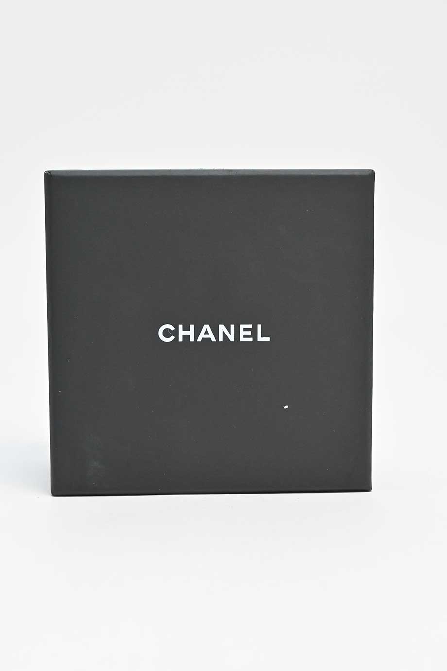 u4308_wa3405_chanel_11.jpg