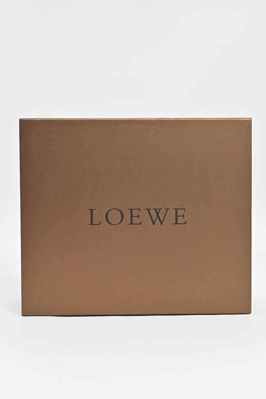 u4314_wb5613_loewe_19.jpg