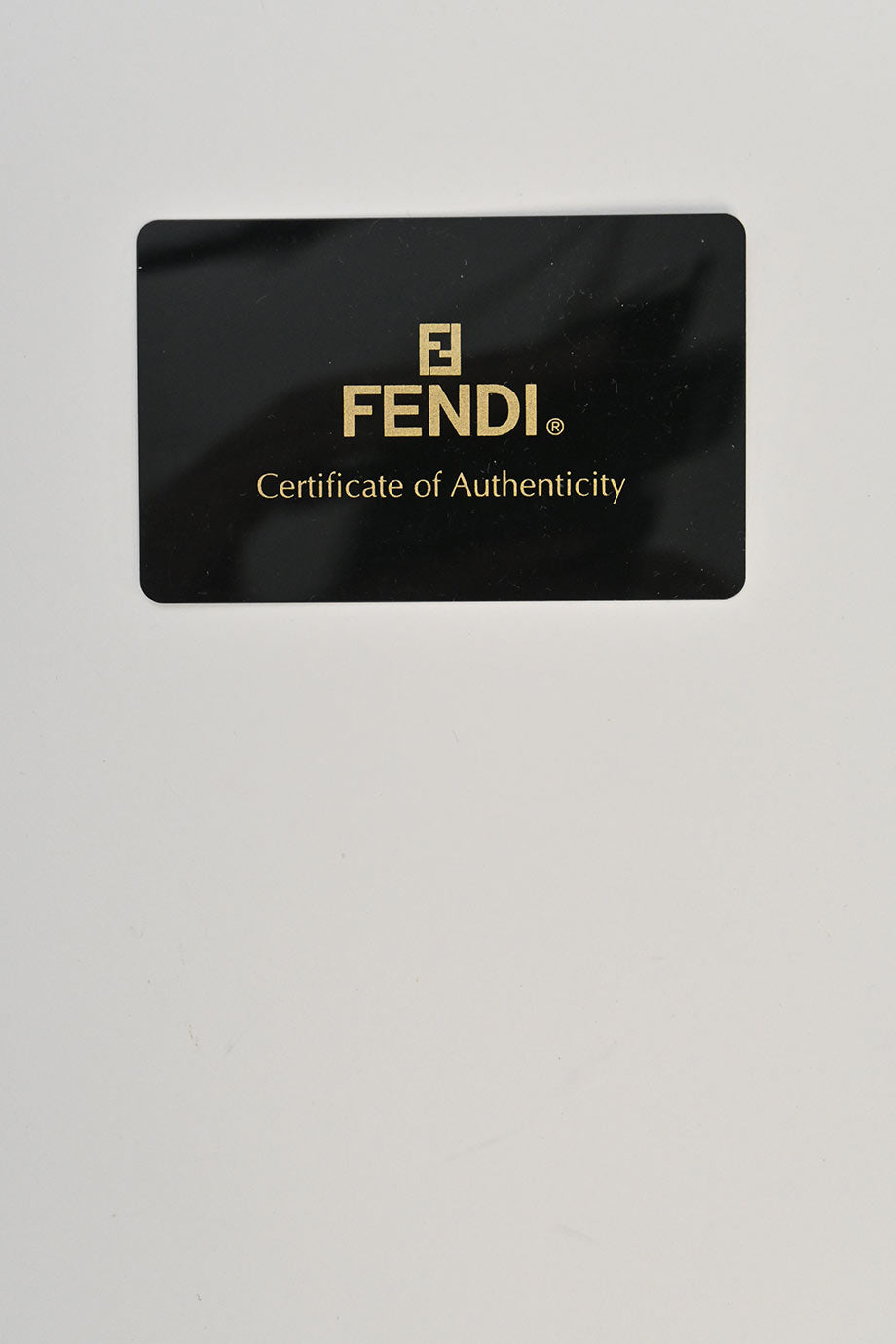 u4567_wb5843_fendi_11.jpg