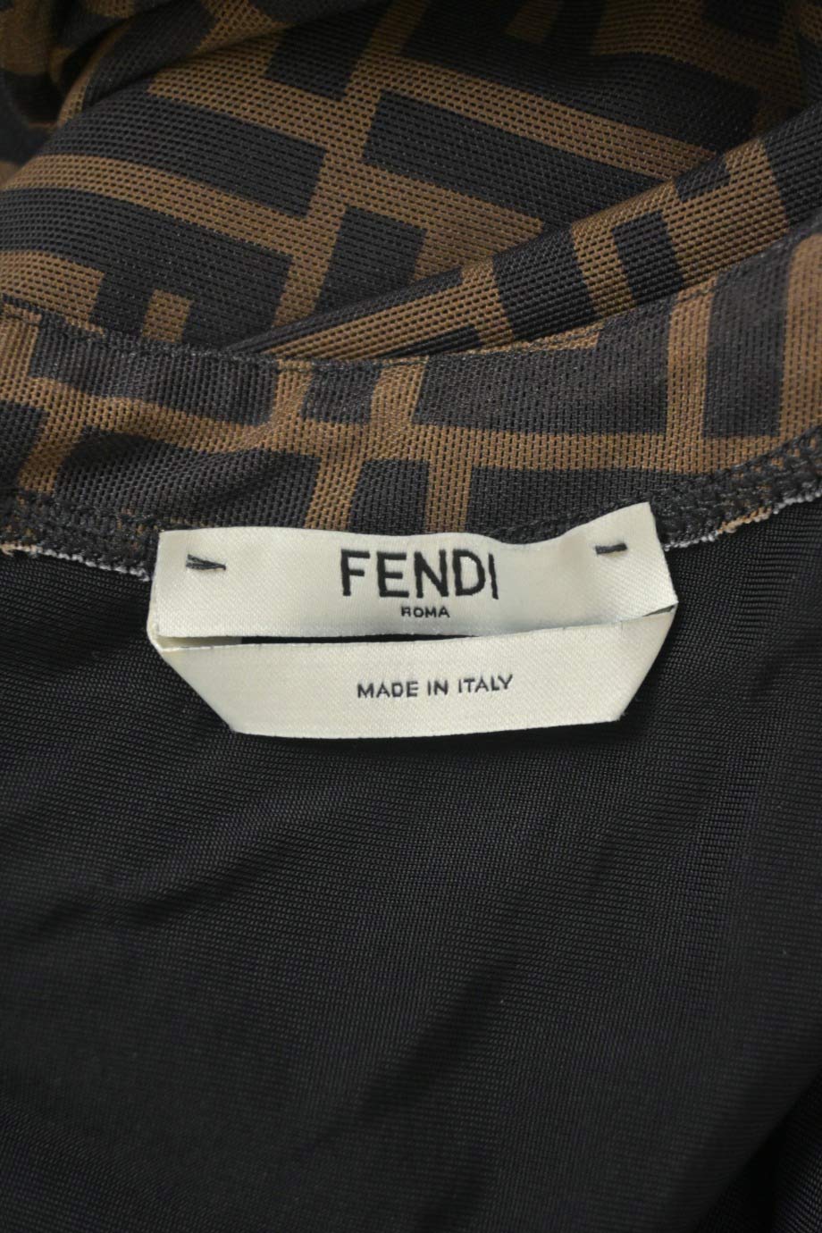 u4665_ww36349_fendi_3.jpg